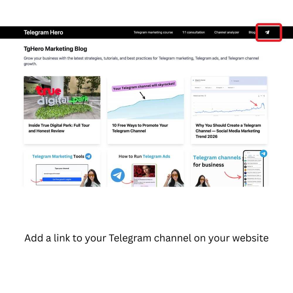 adding a link to a Telegram channel on a website - example of telegram marketing