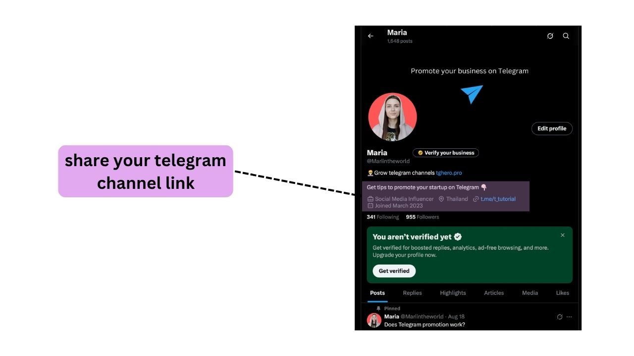 telegram channel link on X twitter